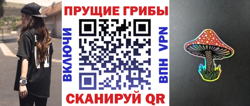Купить где  Красноперекопск  Галлюциногенные грибы Magic Shrooms 